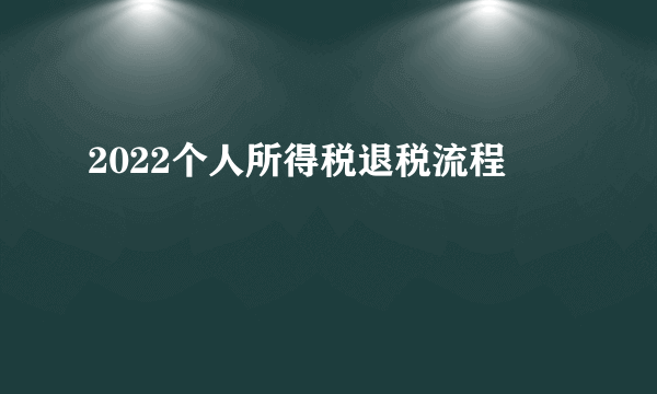 2022个人所得税退税流程