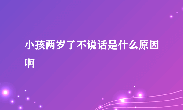 小孩两岁了不说话是什么原因啊