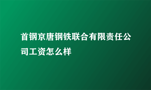 首钢京唐钢铁联合有限责任公司工资怎么样