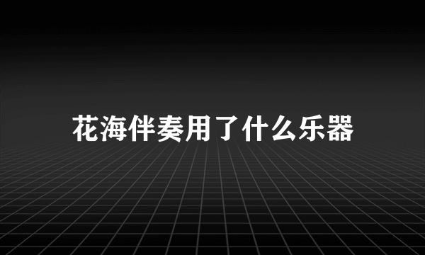 花海伴奏用了什么乐器