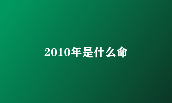 2010年是什么命