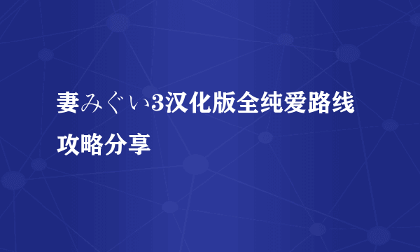 妻みぐい3汉化版全纯爱路线攻略分享