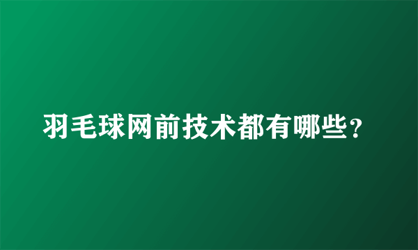 羽毛球网前技术都有哪些？