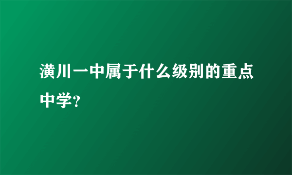 潢川一中属于什么级别的重点中学？