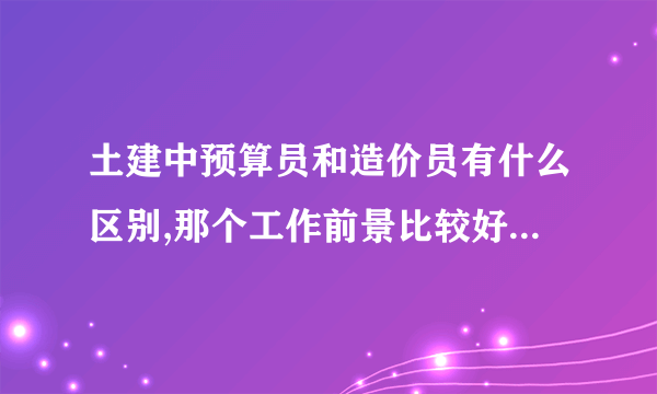 土建中预算员和造价员有什么区别,那个工作前景比较好,我不是学这个专业的,不知道考出来认可吗?