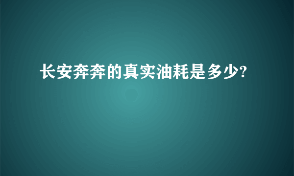 长安奔奔的真实油耗是多少?