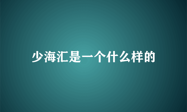 少海汇是一个什么样的