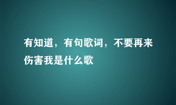 有知道，有句歌词，不要再来伤害我是什么歌