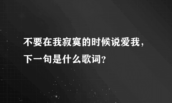 不要在我寂寞的时候说爱我，下一句是什么歌词？