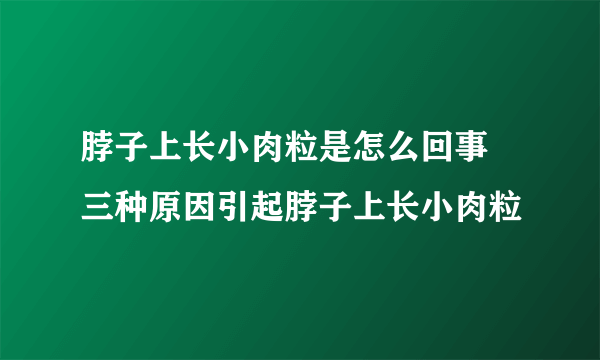 脖子上长小肉粒是怎么回事 三种原因引起脖子上长小肉粒