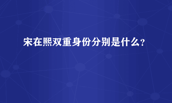 宋在熙双重身份分别是什么？