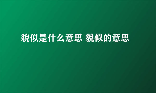 貌似是什么意思 貌似的意思