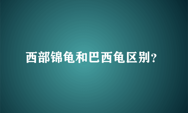 西部锦龟和巴西龟区别？