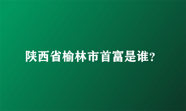 陕西省榆林市首富是谁？