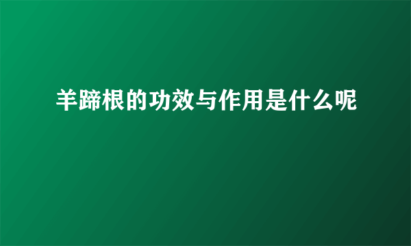 羊蹄根的功效与作用是什么呢