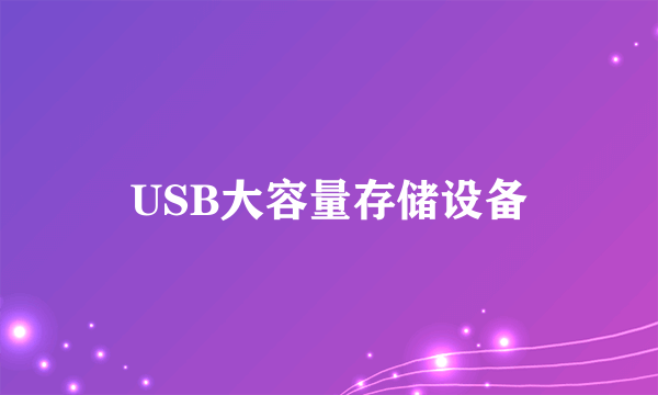 USB大容量存储设备