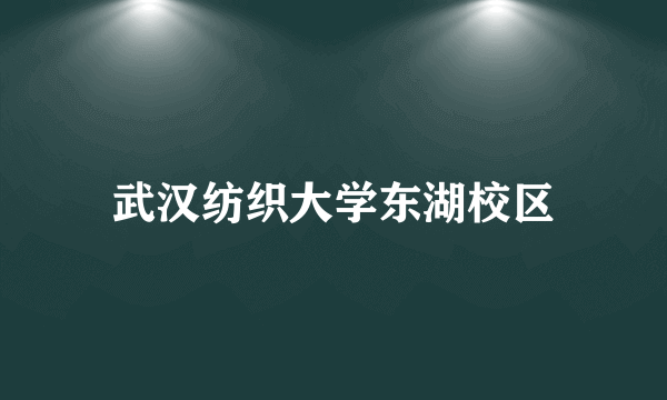 武汉纺织大学东湖校区