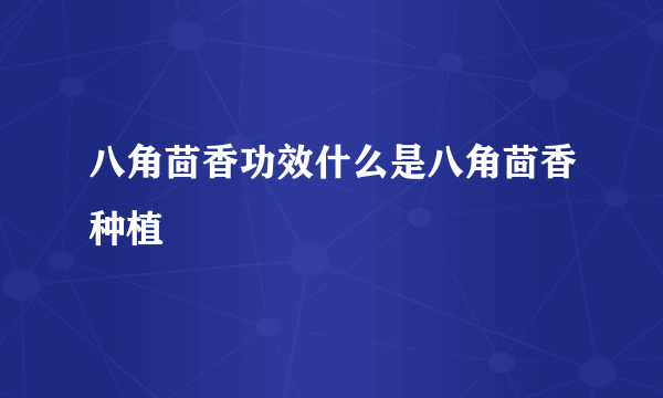 八角茴香功效什么是八角茴香种植