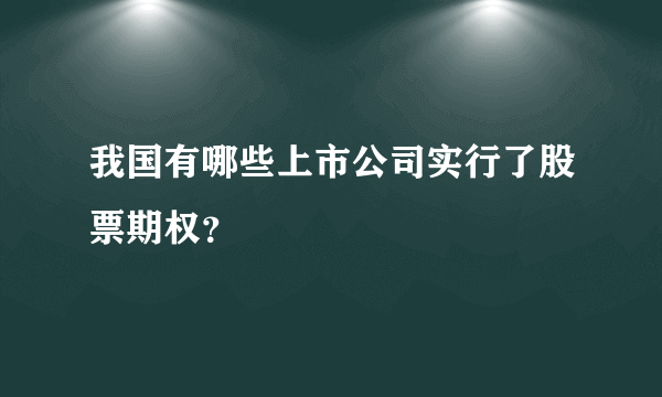 我国有哪些上市公司实行了股票期权？