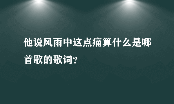 他说风雨中这点痛算什么是哪首歌的歌词？