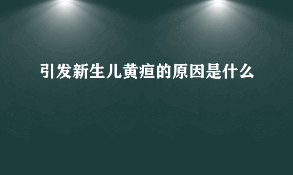 引发新生儿黄疸的原因是什么