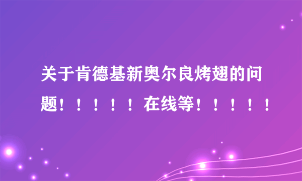 关于肯德基新奥尔良烤翅的问题！！！！！在线等！！！！！