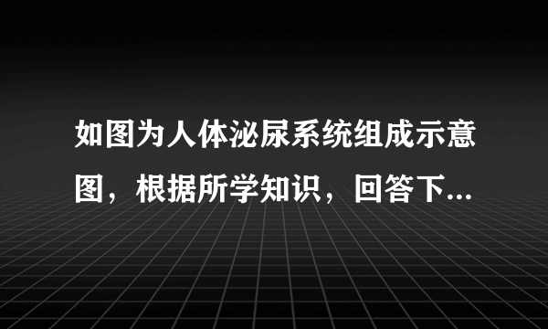 如图为人体泌尿系统组成示意图，根据所学知识，回答下列问题．（1）泌尿系统是由[①]______、[②]______