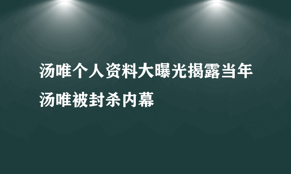 汤唯个人资料大曝光揭露当年汤唯被封杀内幕