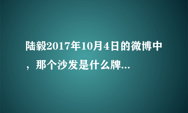 陆毅2017年10月4日的微博中，那个沙发是什么牌子的有人知道吗