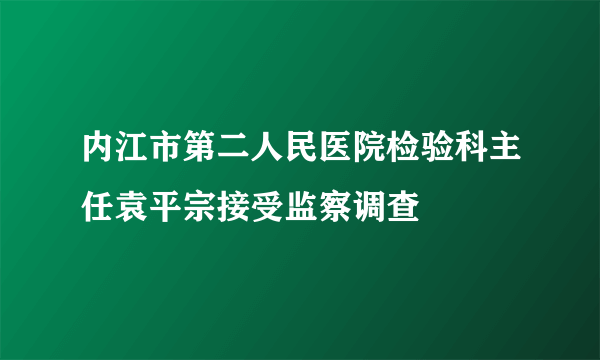 内江市第二人民医院检验科主任袁平宗接受监察调查