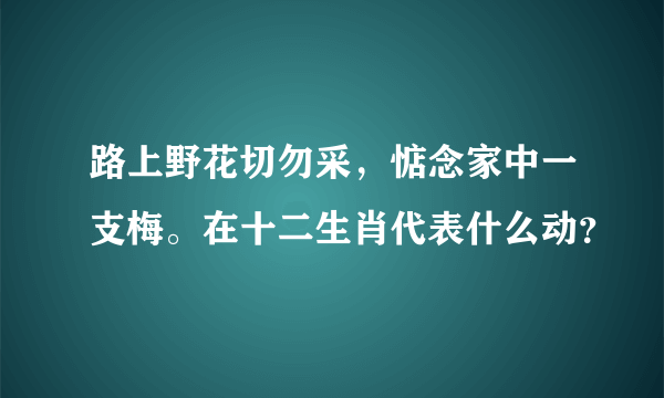 路上野花切勿采，惦念家中一支梅。在十二生肖代表什么动？