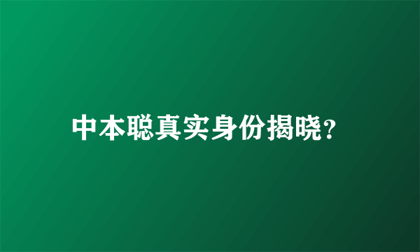 中本聪真实身份揭晓？