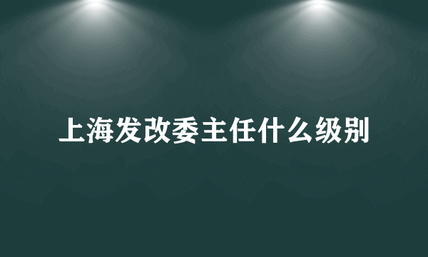 上海发改委主任什么级别