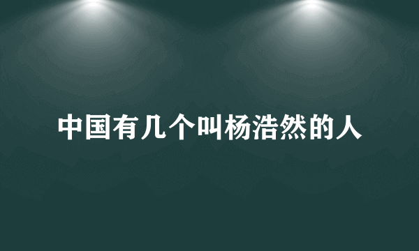 中国有几个叫杨浩然的人