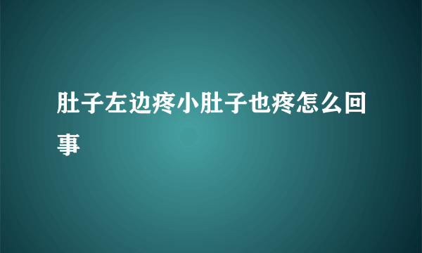 肚子左边疼小肚子也疼怎么回事