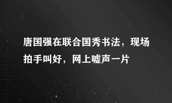 唐国强在联合国秀书法，现场拍手叫好，网上嘘声一片