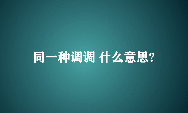 同一种调调 什么意思?