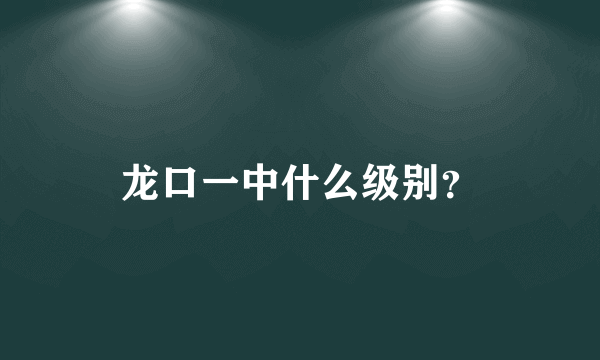 龙口一中什么级别？