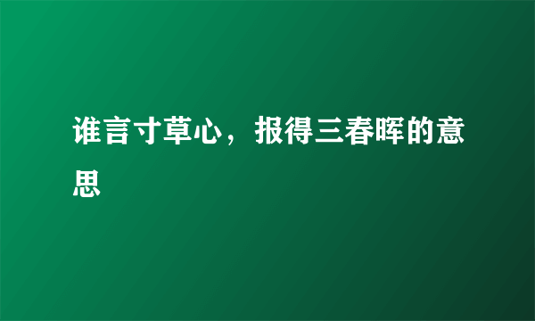 谁言寸草心，报得三春晖的意思