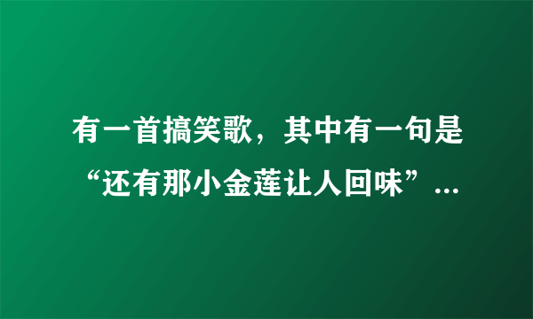 有一首搞笑歌，其中有一句是“还有那小金莲让人回味”谁知道啊