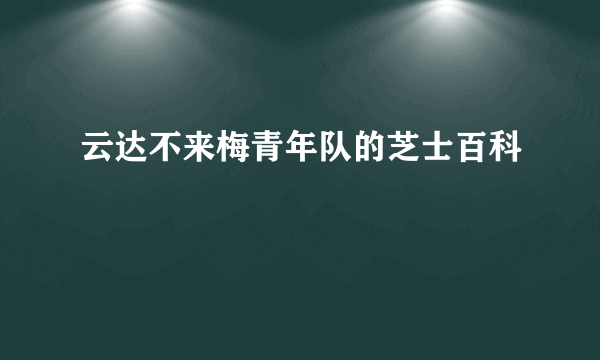 云达不来梅青年队的芝士百科