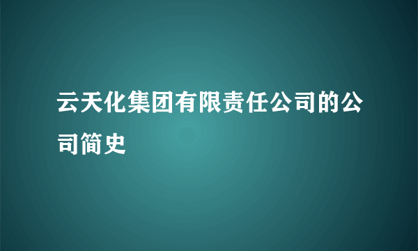 云天化集团有限责任公司的公司简史