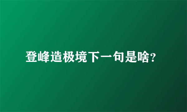 登峰造极境下一句是啥？