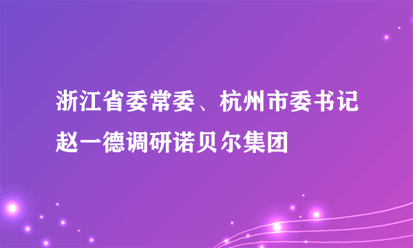 浙江省委常委、杭州市委书记赵一德调研诺贝尔集团