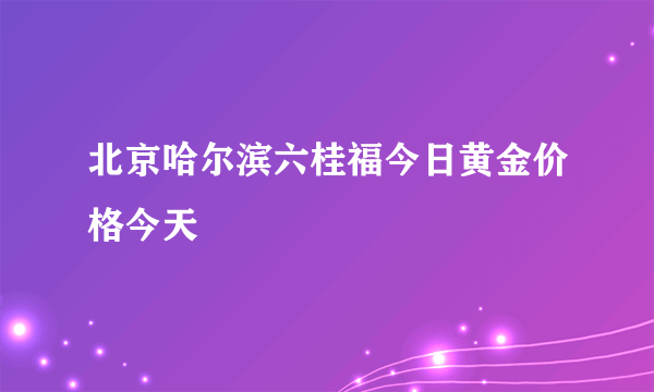 北京哈尔滨六桂福今日黄金价格今天