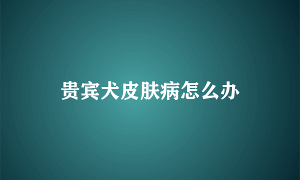 贵宾犬皮肤病怎么办