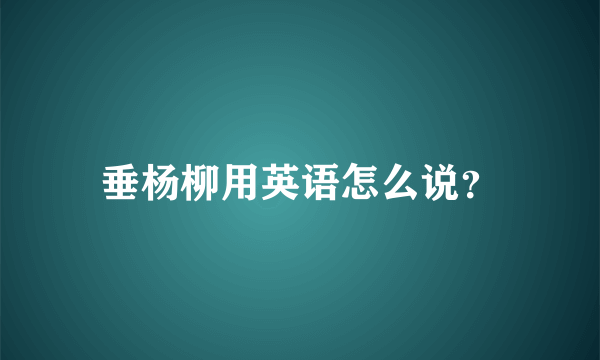 垂杨柳用英语怎么说？