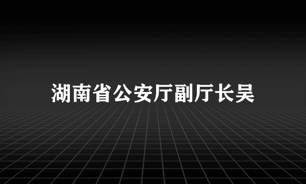 湖南省公安厅副厅长吴