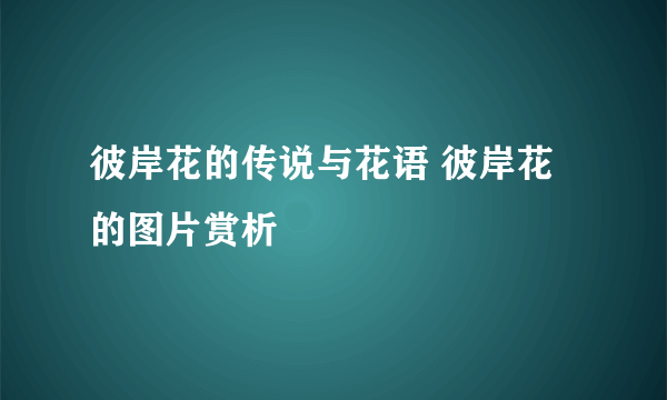 彼岸花的传说与花语 彼岸花的图片赏析