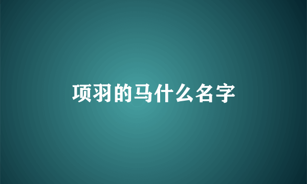 项羽的马什么名字